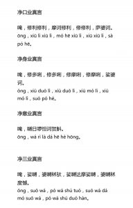 净口业，净身业，净意业，净三业真言