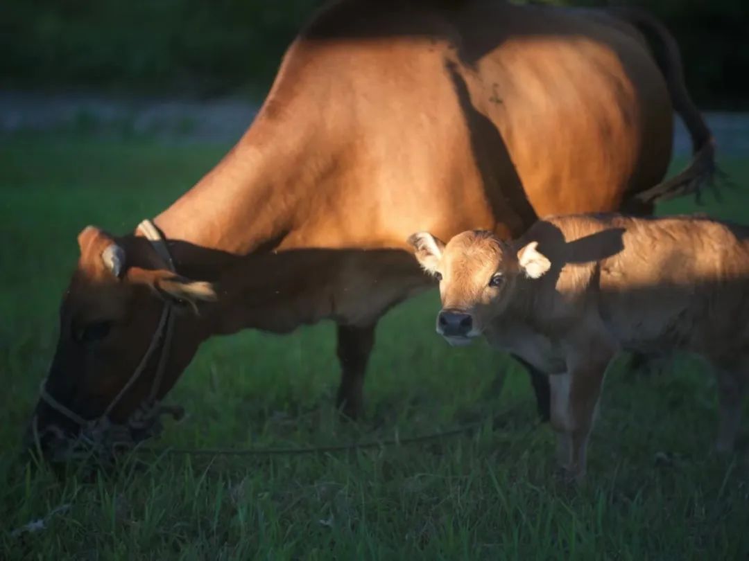 有些恶难以言喻