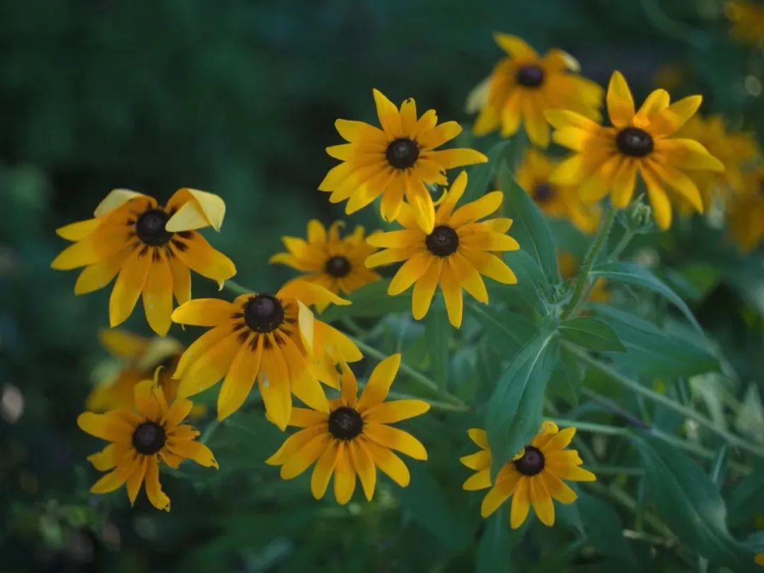 有些恶难以言喻