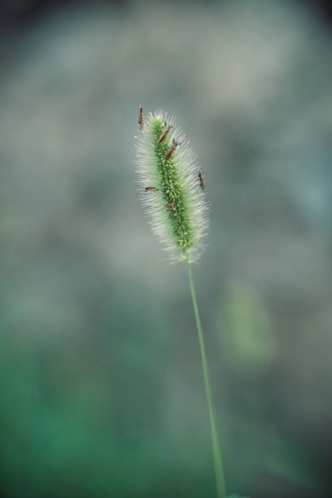 有些恶难以言喻