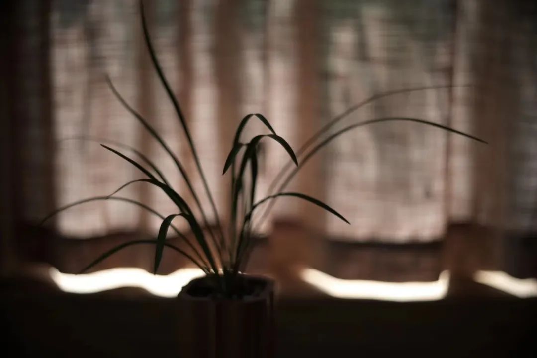 有些恶难以言喻